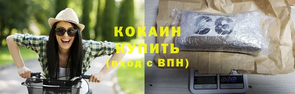 крисы Богданович