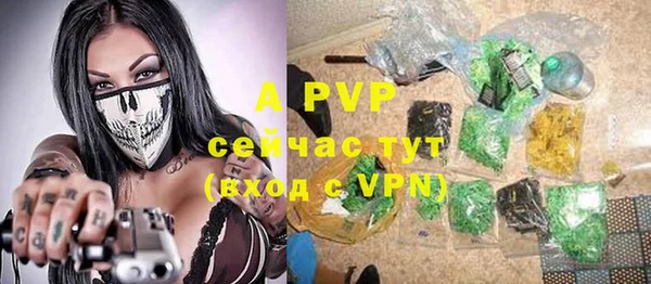 крисы Богданович