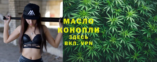 крисы Богородск