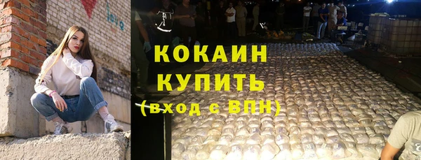 крисы Богородск
